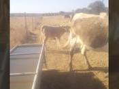 consumo agua pleno Julio