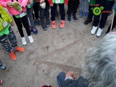 ¿Y por qué no un libro con plumas y picos y un aula con hierba y tierra?