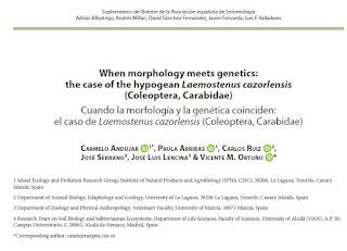 Más trabajos sobre el carábido Laemostenus cazorlensis