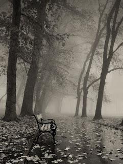 5.285 - HOJAS CAÍDAS...