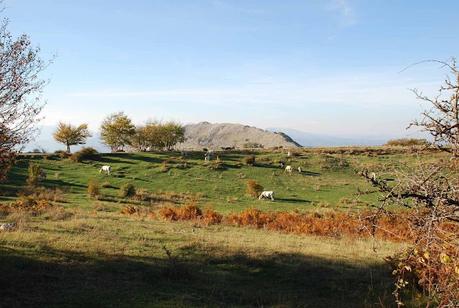 Parque Nacional del Pollino patrimonio mundial de la UNESCO. Parque Nacional del Pollino patrimonio mundial de la UNESCO.
