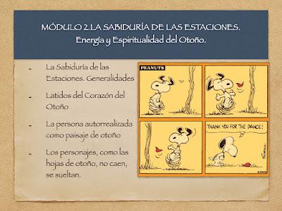 Módulos Contenidos curso