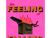 Reseña #845 Feeling Falling Love