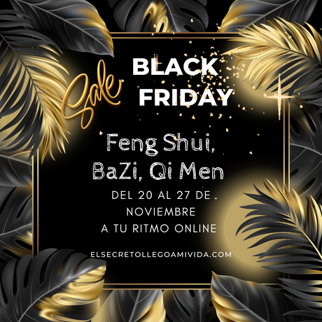 Black Friday 💥
