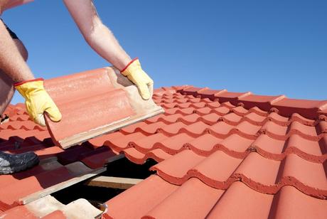 Principales causas y ventajas del retechado