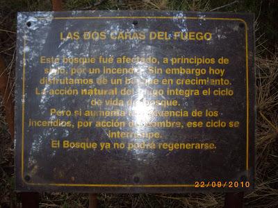 Patagonia Andina, portal de la belleza natural