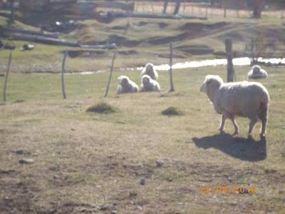 Patagonia Andina, portal de la belleza natural