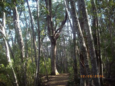 Patagonia Andina, portal de la belleza natural