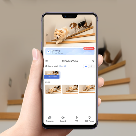 Pet Detection_1080x1080 (1) (1)