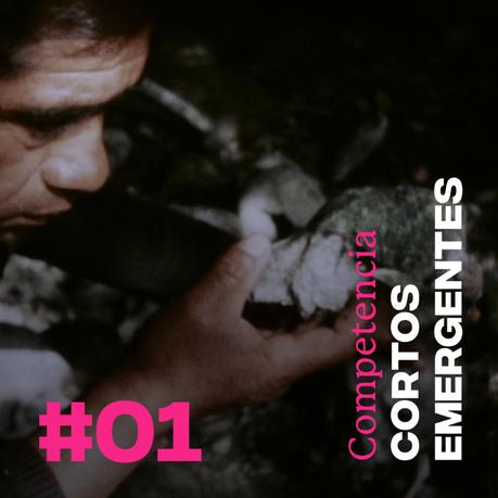 e7c392fe-87ca-c2da-6848-7cc68d2a8f25