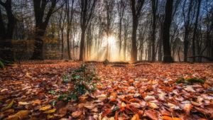 Las claves para un buen descanso con la llegada del otoño