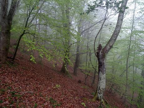 La Vega Sebarga-El Valle Torás-Obrandi