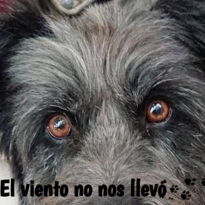 gilda-y-yo-ojos-canela-el-viento-no-nos-llevó