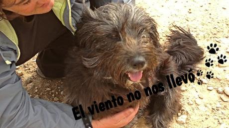 gilda-y-yo-ojos-canela-el-viento-no-nos-llevó