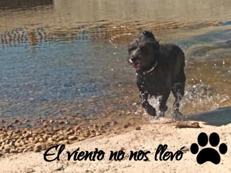 Gilda-y-yo-La-escapista-El-viento-no- nos-llevó