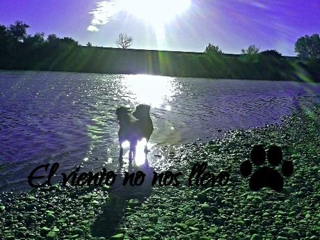 Gilda-y-yo-La-escapista-El-viento-no- nos-llevó