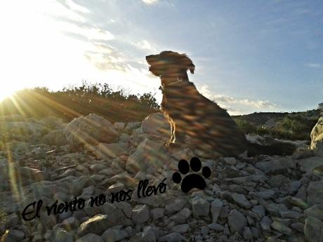 Gilda-y-yo-La-escapista-El-viento-no- nos-llevó