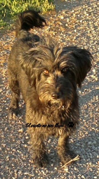 El-primer-día-el-viento-no-nos-llevó