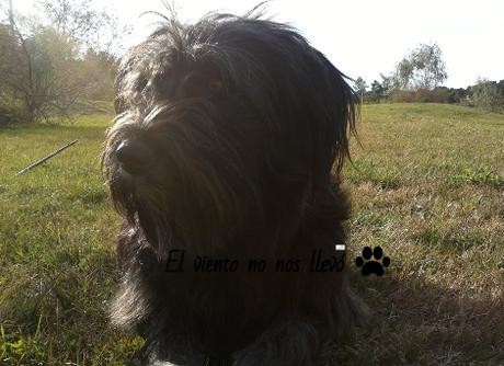 El-primer-día-el-viento-no-nos-llevó