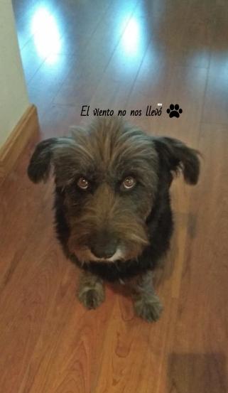 El-primer-día-el-viento-no-nos-llevó