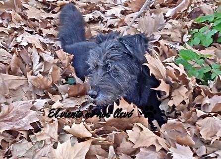 El-primer-día-el-viento-no-nos-llevó