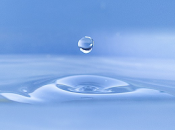 Nuevos medicamentos para Glaucoma.