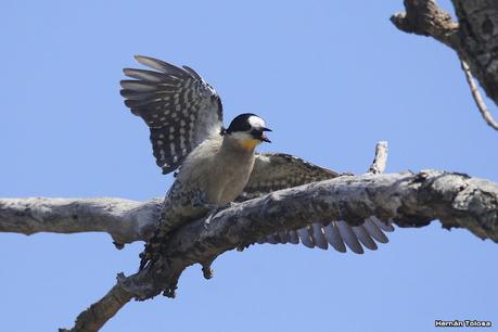 Laguna del Plata (octubre de 2021)
