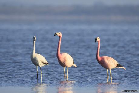 Laguna del Plata (octubre de 2021)