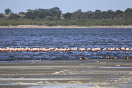 Laguna del Plata (octubre de 2021)