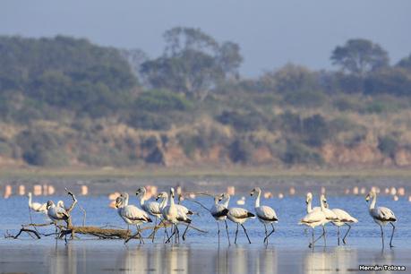 Laguna del Plata (octubre de 2021)