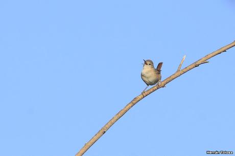 Laguna del Plata (octubre de 2021)