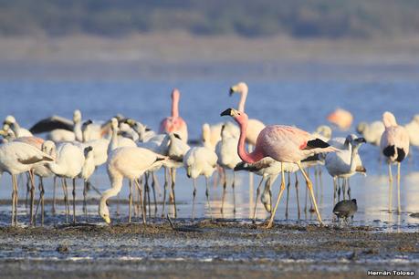 Laguna del Plata (octubre de 2021)