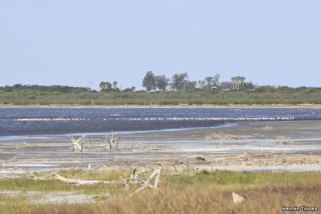 Laguna del Plata (octubre de 2021)