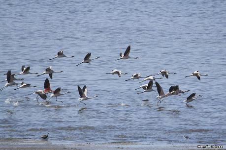Laguna del Plata (octubre de 2021)