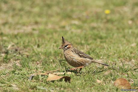 Laguna del Plata (octubre de 2021)