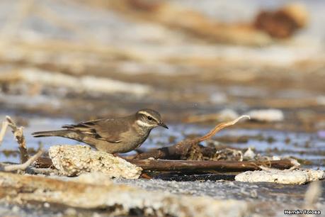 Laguna del Plata (octubre de 2021)