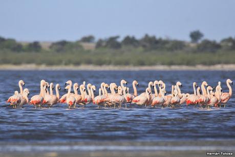 Laguna del Plata (octubre de 2021)