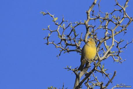 Laguna del Plata (octubre de 2021)