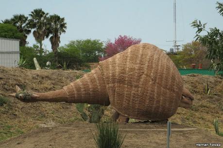 Laguna del Plata (octubre de 2021)