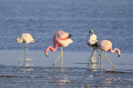 Laguna del Plata (octubre de 2021)