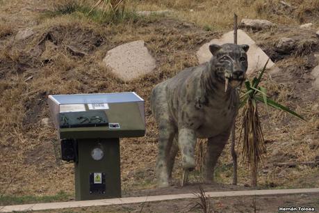 Laguna del Plata (octubre de 2021)