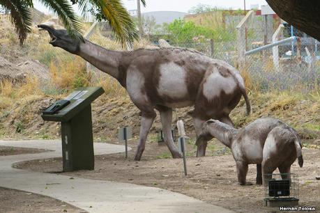 Laguna del Plata (octubre de 2021)