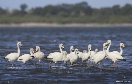 Laguna del Plata (octubre de 2021)