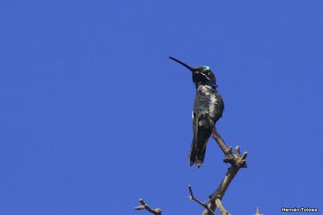 Laguna del Plata (octubre de 2021)
