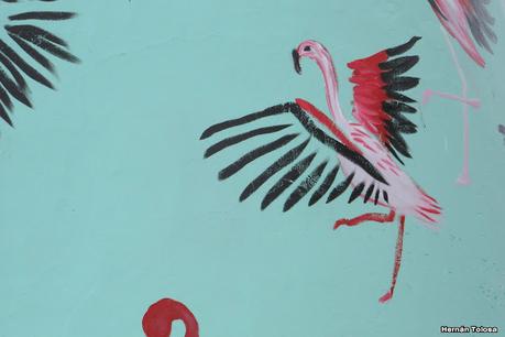 Laguna del Plata (octubre de 2021)