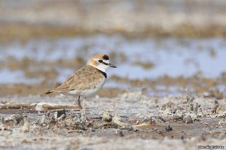 Laguna del Plata (octubre de 2021)