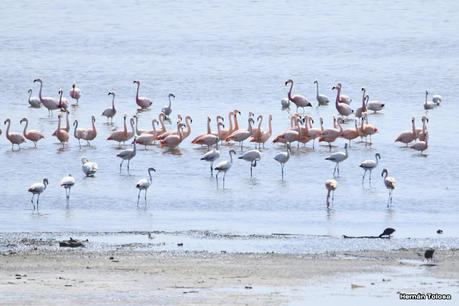 Laguna del Plata (octubre de 2021)