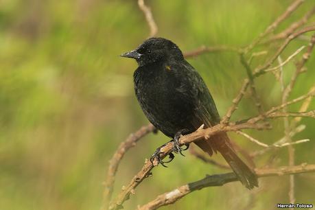 Laguna del Plata (octubre de 2021)
