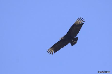 Laguna del Plata (octubre de 2021)