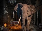elefante habitación